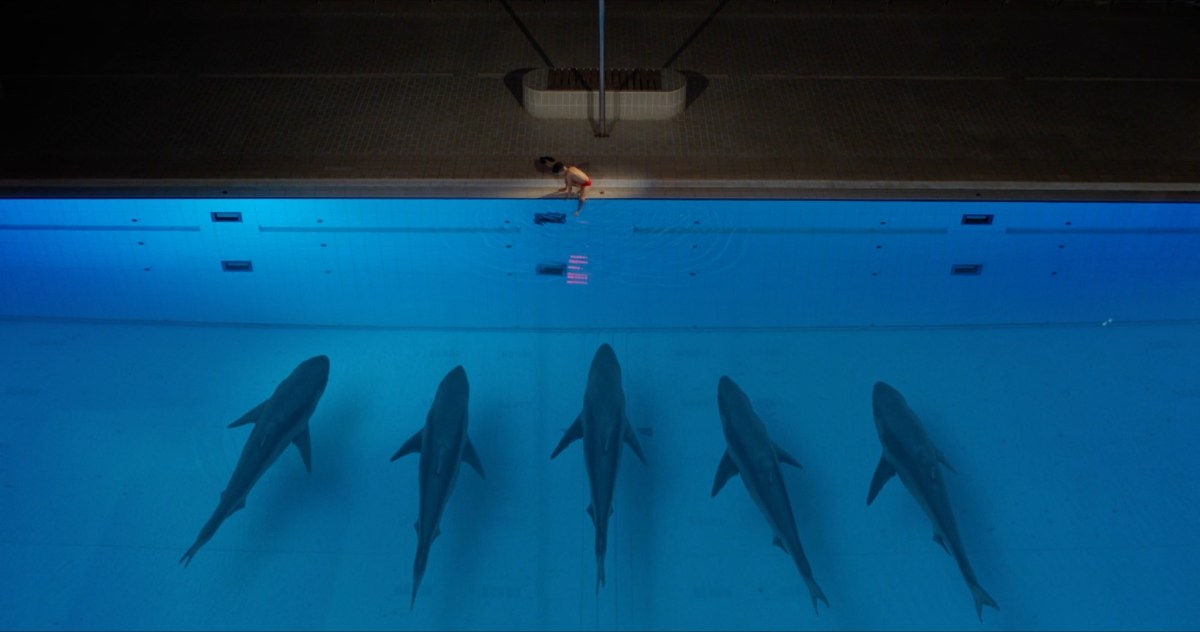 Roots and Fruits #5 > Fear and&nbsp;Courage